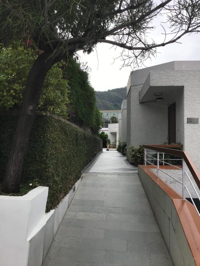 Timber Trail Base Resort - At The Foothills Of Adventure Parwanoo 外观 照片